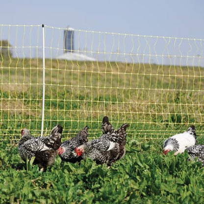 Premier 1 Yellow Electric Chicken Net with Posts – 48"H x 82'L