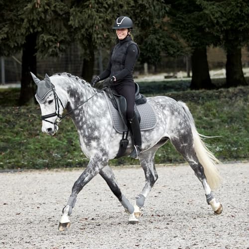 HORZE Adepto Open Front Tendon Boots | Durable Shell with Neoprene Lining - Steel Grey - Cob - color: Steel Grey, size: Cob