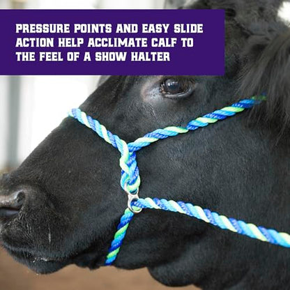 Weaver Livestock Poly Rope Breaking Cattle Halter, Adjustable, Modern Style Cow Calf Halter, Livestock Handling Equipment for Showing, Blue - color: Blue