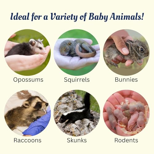Exotic Nutrition Baby Squirrel Nursing Set (Expanded) - Milk Replacer, Feeding Syringes - size: Expanded