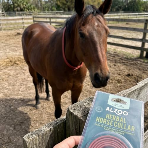Herbal Horse Collar, Waterproof, 30-Day of Well Being, 40.2 Inches