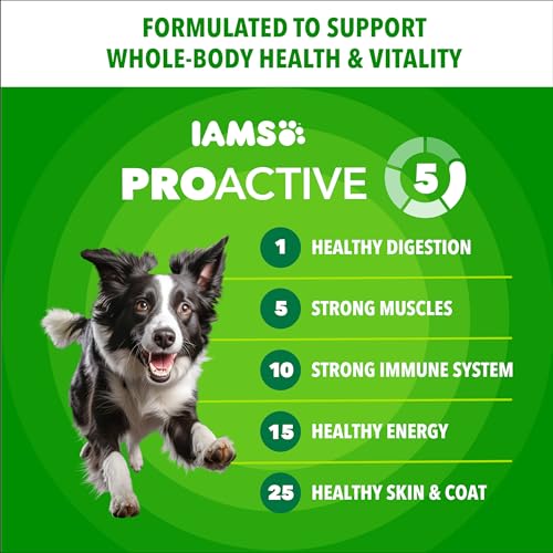 IAMS Proactive Health 성인용 Minichunks 건식 개 사료, 닭고기, 2.3kg(5파운드) - size: 5파운드(1팩)