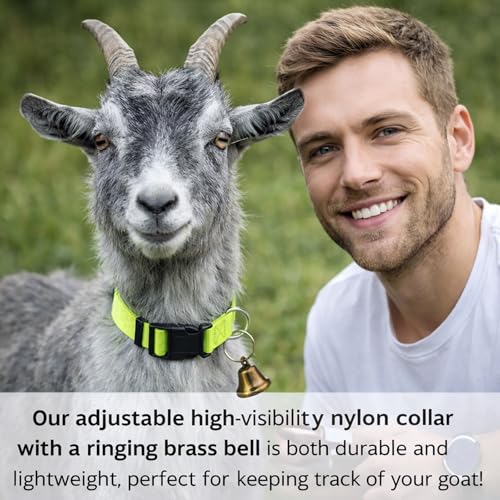 3 Set of Goat Harness in Red Green Blue Colors,Goat Collars with Bells,Adjustable Farm Collar for Grazing Management and Animal Tracking, Durable Livestock Accessories for Small Farms(18"-23")