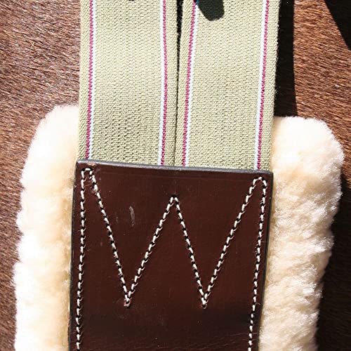 Schneiders Pinnacle Sheepskin Lined Girth for Horses | Size 46 and Comfort | Genuine Sheepskin Lining | Beautiful Fancy Stitching | Double Elastic Ends