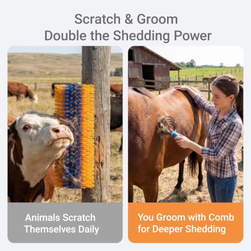 Livestock Scratching Brush 2 Pack, Horse Goat Brush Heavy Duty Scratcher Supplies with Stainless Steel Curry Comb for Barn Pasture Horse, Goat, Cattle, Pig Massage Grooming Itch Relief -17.35×7.5 In