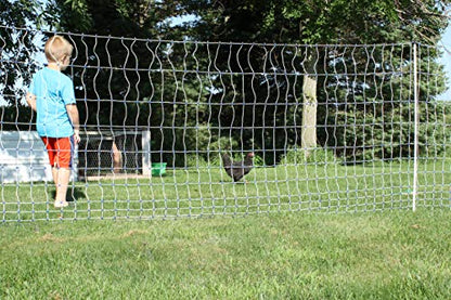 48" x 164' Electric Poultry Netting with Double Spiked Fiberglass Posts | Electric Fence for Chickens in Backyards, Homesteads, Farms and Ranches