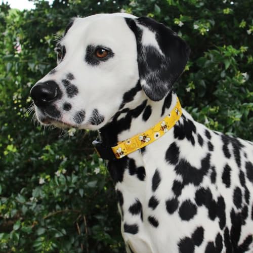 Limeloot Bees Dog Collar, Adjustable Dog Collar for Male and Female Dogs, Small - color: Bees, size: Small