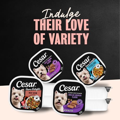 Cesar Loaf and Delights Wet Dog Food, Variety Lovers Pack, 3.5 oz, 36 Count | Real beef or chicken #1 ingredient, no fillers or artificial flavors, easy to digest, slow-cooked, easy-peel trays - size: 36 Count (Pack of 1)