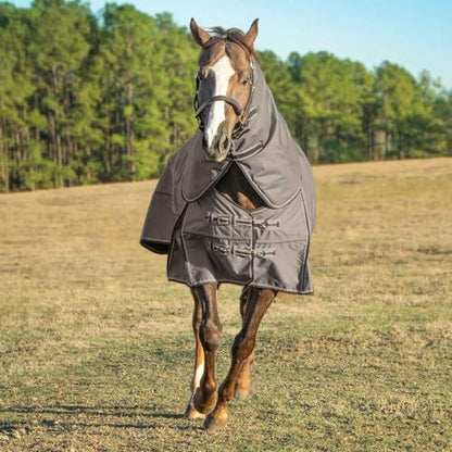 Jeffers Poplar Head Defense 1680 Denier Turnout Blanket with Detachable Neck -Plymouth Brown, 66"- Waterproof, Breathable Horse Blanket with 360g Polyfill, Ideal Protection for Winter, Heavyweight - size: 66 in