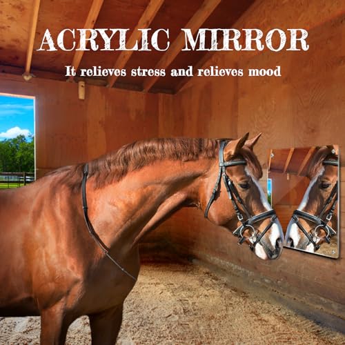 Sukh Acrylic Horse Mirror - 16.92 x 12.99 in Non Glass Stall Mirror