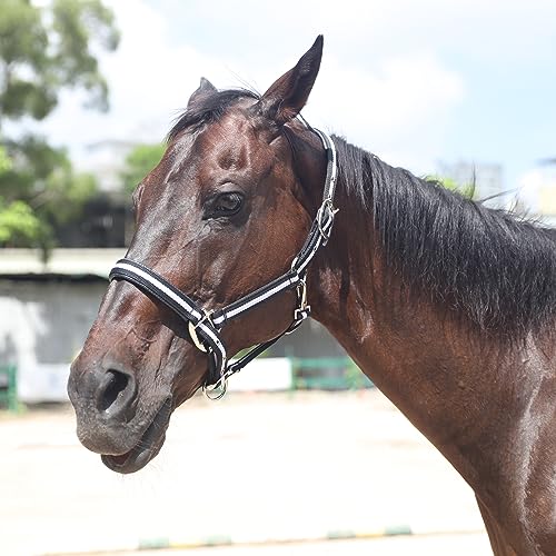 Adjustable Horse Halters - Heavy Duty Nylon Webbing & Hardware, Padded with Anti Chafing Foam-Cushioned on Crown & Nose - color: Black, size: Cob