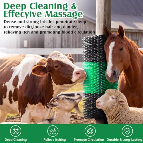 3 Pack Livestock Scratching Brush, Green and Black - color: Green and Black