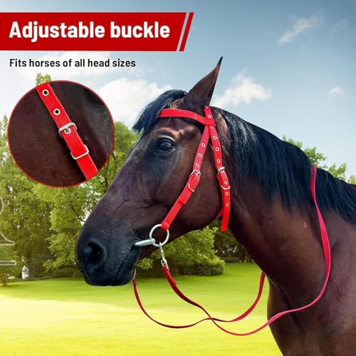 Draft Horse Bridle Anti-Tear Horse Riding Headstall | Equine Snaffle Noseband, Adjustable Soft Lined Equestrian Browband for Outdoor Use - size: Small