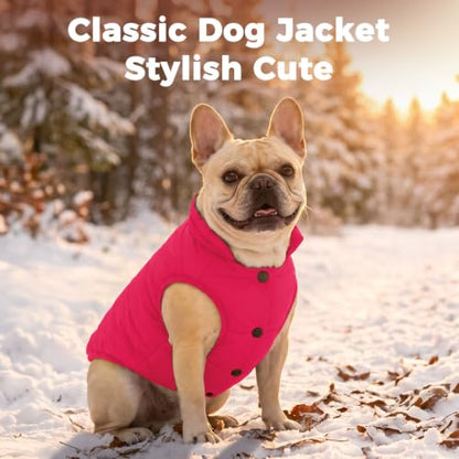 JoyDaog Fleece Lined Dog Jacket for Small Dogs,Winter Dog Coat,Pink M - color: Pink, size: Medium