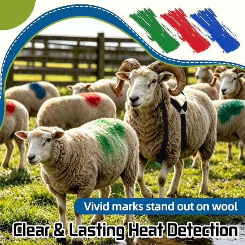Replacement Marking Crayon Blocks for Ram Breeding Harness (Red,Blue,Green) - color: Red,Blue,Green