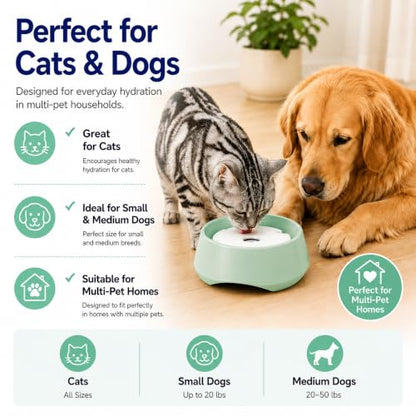 Green No Spill Dog Water Bowl, Pet Floating Water Bowl No Wet Mouth, Anti Splash & Anti Tip Slow Water Feeder, Keeps Fur Dry Clean Drinking Bowl for Dogs & Cats, Large Capacity Travel Friendly - color: Green, White