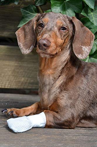 Medimitt Paw Bandages for Dogs, Cats and Pets – Stretchy Medical Booties, First Aid for Paws – Non Slip, Non Adhesive, Breathable, Disposable, Washable, Adjustable Strap, Value Pack (2XS 20-Pack) - size: 2XS 20-Pack