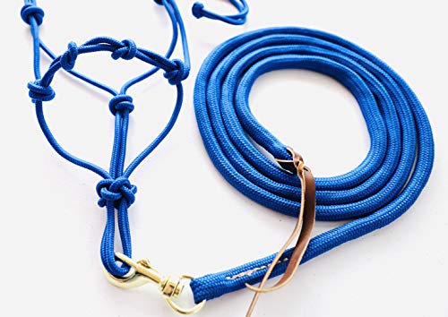 Mini-Pony 4 Knotted Rope Halter & 8' Lead Set (Royal Blue, Medium 32-36" Mini) - color: Royal Blue, size: Medium 32-36" Mini