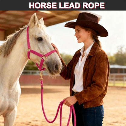 5/8" x 8' Nylon Horse Lead Rope (Peach Pink) - color: Peach Pink