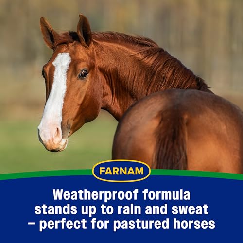 Farnam Equi-Spot, Weather Proof Targeted Spot On Protection, 6 Week Supply | Spot-On Protection for Horses, Long-Lasting Protection from Flies, Ticks, Gnats and Mosquitoes, Weatherproof Formula - size: 6 Week Supply