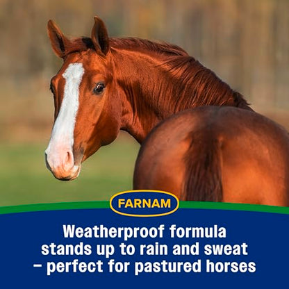 Farnam Equi-Spot, Weather Proof Targeted Spot On Protection, 12 Week Supply | Spot-On Protection for Horses, Long-Lasting Protection from Flies, Ticks, Gnats and Mosquitoes, Weatherproof Formula - size: 12 Week Supply