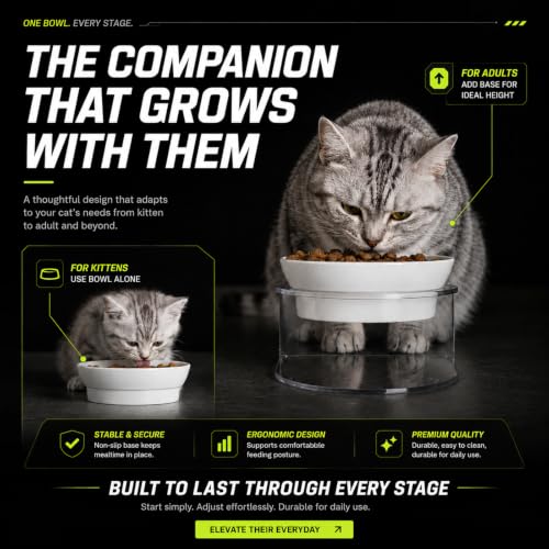 LivLab Mker Raised Cat Bowl, 15° Tilted, 4.5 in High, White - color: White
