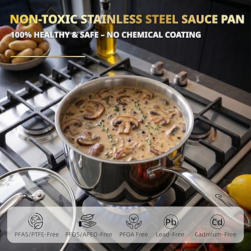 Ciwete 3 Qt Stainless Steel Saucepan with Glass Strainer Lid, 3 Quart Pot Stainless Steel Sauce Pan with Pour Spout, Mirror Polishing, Compatible with All Cooktops Dishwasher Safe Oven Safe - size: 3 Quart (With Glass Strainer Lid)