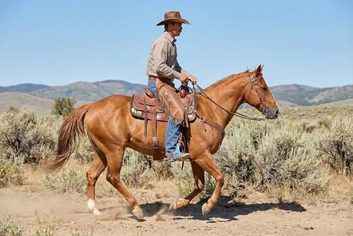 CHALLENGER Horse Western Saddle Turquoise Aluminium Bell Engraved Cut-Out Stirrups 51146v - color: Rider Turquoise