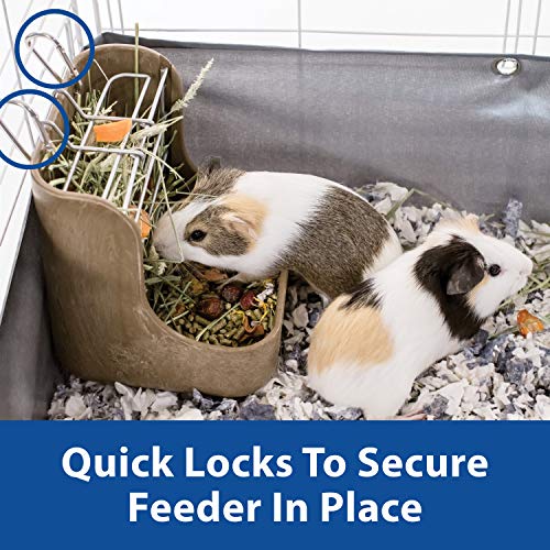 Kaytee Hay & Food Bin Feeder With Quick Locks For Pet Rabbits, Chinchillas, Guinea Pigs and Other Small Animals - size: 5.75 inches x 6 inches x 7 inches (Pack of 1)