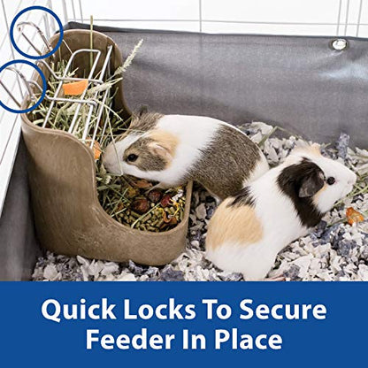 Kaytee Hay & Food Bin Feeder With Quick Locks For Pet Rabbits, Chinchillas, Guinea Pigs and Other Small Animals - size: 5.75 inches x 6 inches x 7 inches (Pack of 1)