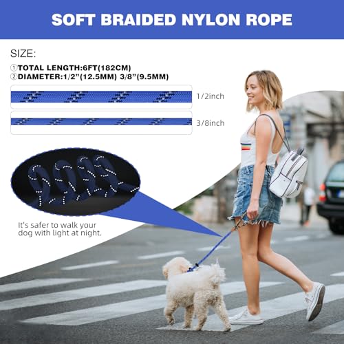 lynxking Dog Leash 3/8in x 6ft Slip Lead Reflective Blue and Green, 2 Pack