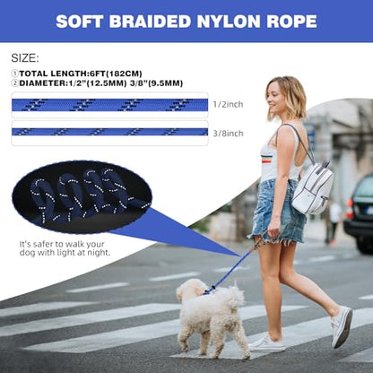 lynxking Dog Leash 3/8in x 6ft Slip Lead Reflective Blue and Green, 2 Pack