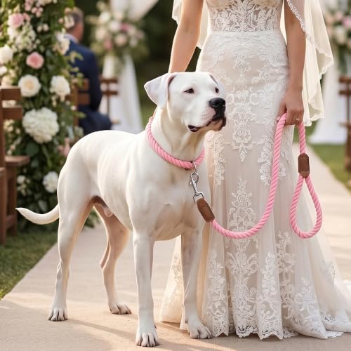 Mile High Life Dog Leash Braided Cotton Rope with Leather-Reinforced Ends - color: Pink, size: 72 Inch-1/2"