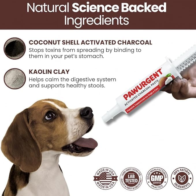 PawUrgent Activated Charcoal Gel for Dogs Poisoning,(2 Pack) 30cc Dog First Aid Activated Charcoal, Animal Use Only, Premium Pet Support for Pet Owners (2 Pack) - size: 2 pack
