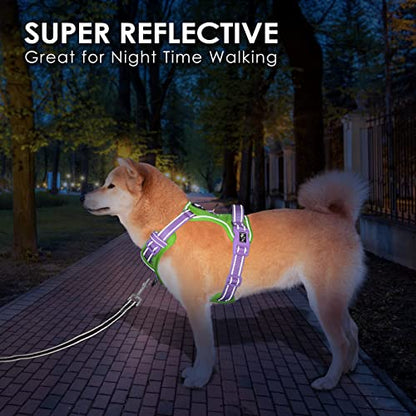 PHOEPET No Pull Dog Harness, Unique Colors Reflective Adjustable Dog Vest - color: Green Base & Purple Straps, size: Small