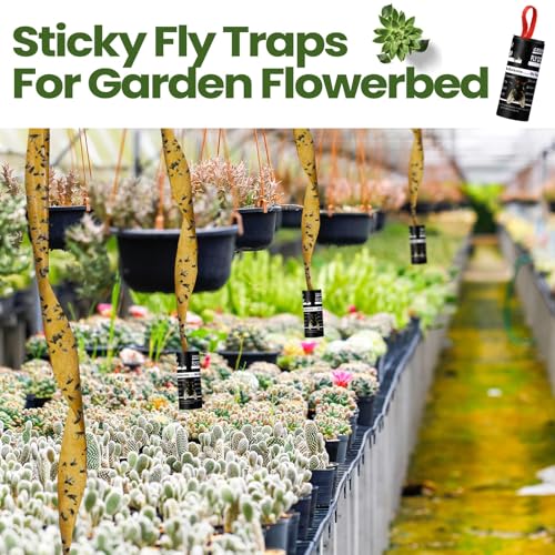Qualirey 80 Pack Fly Strips Sticky Fly Trap Indoor Outdoor Hanging Ribbon Tape Paper Flying Insect Trap Gnat Killer Traps Catcher for Fruit Flies, Bug, Insect, Pest (Black) - color: Black
