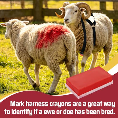 Ram Breeding Marking Harness for Sheep & Goat, 3 Pack Mating Crayon Block - color: Red