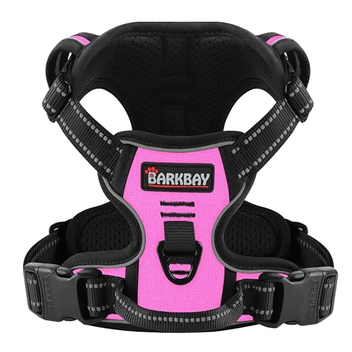 BARKBAY Dog Harness for Small Sized Dog No Pull 2 Leash Clips Dog Vest - color: Pink, size: X-Small