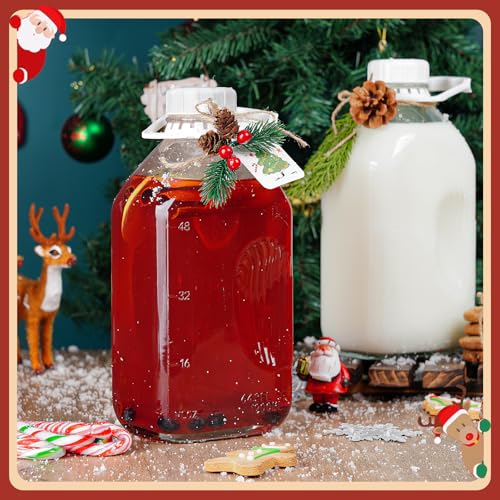 Ritayedet 2 Pack 64 Oz Glass Milk Bottle With Lids, 2 Qt Glass Water Jugs - style: Milk Bottle-2pack
