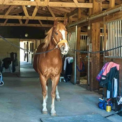 Intrepid International Tie Safe Heavy Duty Nylon Adjustable Cross Tie - Stall Accessories, Attach to Halter, Brass Panic Snap, for Stall and Horse Trailer - size: 96"