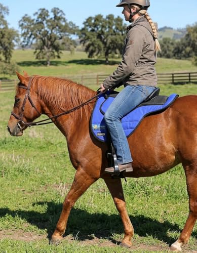 Horse Western Lightweight Neoprene Padded Bareback Saddle Pad 39186 - color: Royal Blue, size: 32" L x 4" W