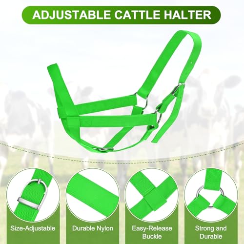 M METERXITY 2-Pack Adjustable Cattle Cow Calf Halter, 19.68"-23.62" Nylon Livestock Cow Halter for Miniature Horse/Donkey/Goat/Cattle [Green]