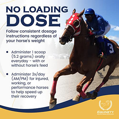 100-Day Supply Equinety Horse XL Powder Horse Supplement with Amino Acids - style: Horse XL