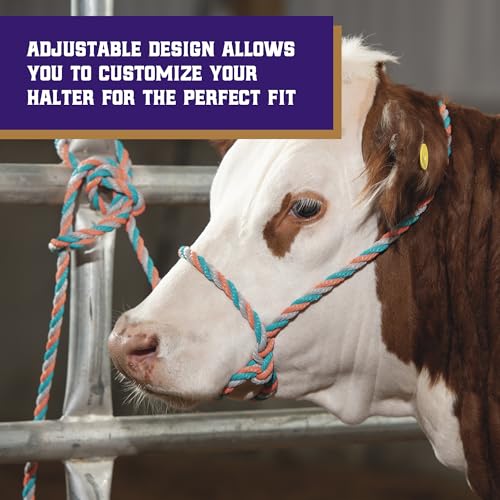 Weaver Livestock Braided Poly Rope Cattle Halter, Adjustable, Modern Style Cow Calf Halter, Livestock Handling Equipment for Showing, Coral/Gray/Teal
