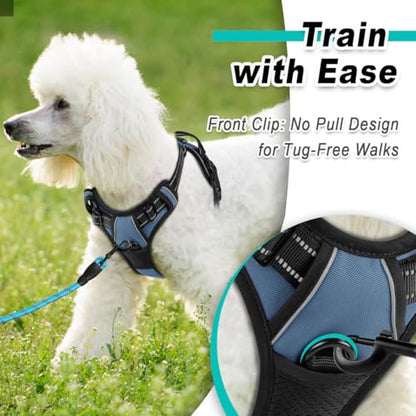 BARKBAY Dog Harness for Small Sized Dog No Pull 2 Leash Clips Dog Vest - color: Navy, size: X-Small