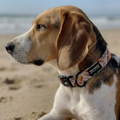 Tuff Pupper Premium Adjustable Dog Collar for Small Boy & Girl Dogs, Stylish Pattern Collars Designed in USA, Quick Release Buckle, AztekSun Print, Small (0.7 Inch Wide x 8-12 Inch Neck) - color: AztekSun, size: Small