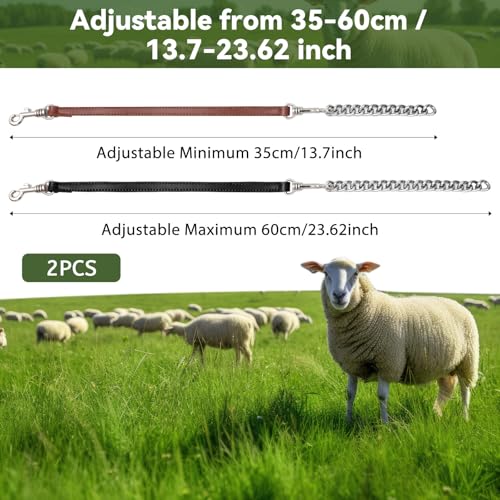 Misdary 2 Pcs Goat Show Collars Adjustable 14" Chain, 14'', Black, Brown - color: Black, Brown