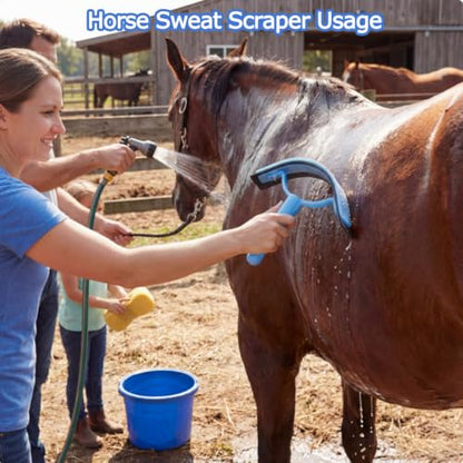 Horse Grooming Kit 13 Piece, Horse Brushes for Grooming Supplies Set