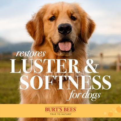 Burt's Bees for Pets Palm Brush with Hemp Bristles, Large Dogs, 2-Pack - size: 2 Count