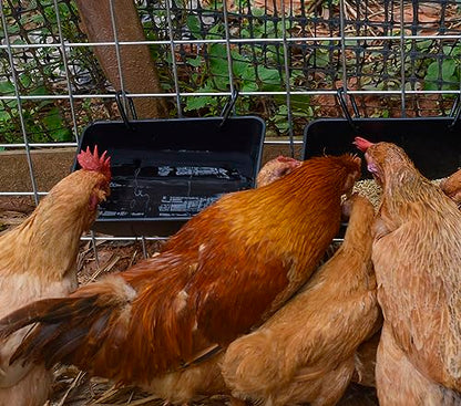 Hanging Chicken Feeder Trough for Goat Sheep Deer Poultry Duck Chicken Fence Feeder Livestock Feeding Container Goats Supplies Feeders Waterer Bucket - color: Black